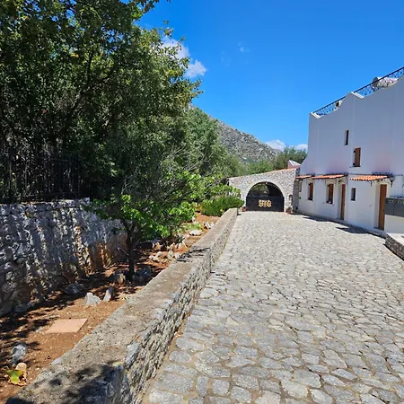 Vasiliki