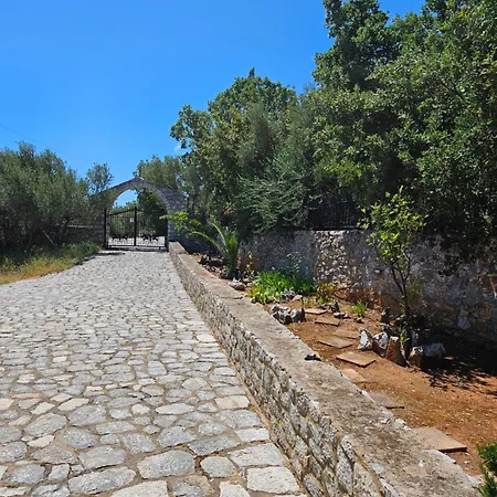 Vasiliki *