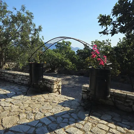 Vasiliki