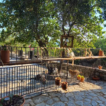 Vasiliki Apartament Exo Nimfion